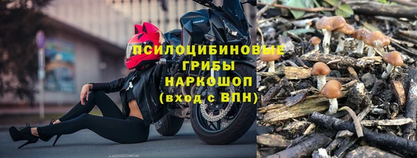Альфа ПВП Бородино