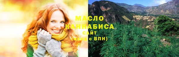 Альфа ПВП Бородино