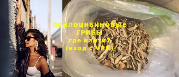 Альфа ПВП Бородино
