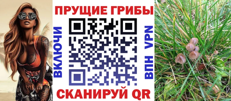 Галлюциногенные грибы мухоморы  Купить где  Волгореченск 